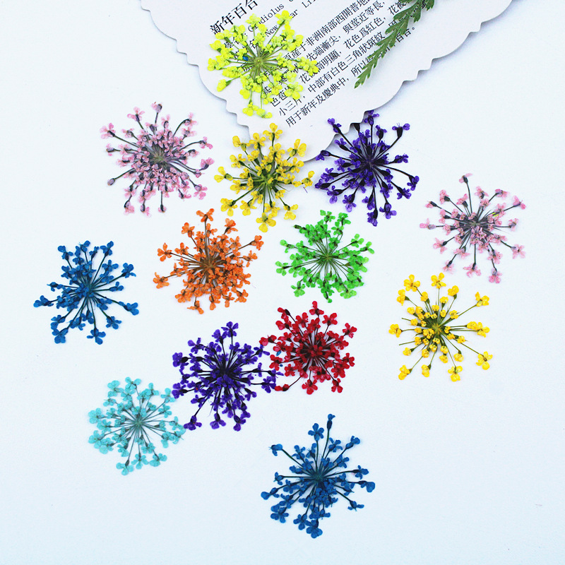 500 Buah Bunga Renda Bunga Ker - Resin Art Baby ulasan dan harga